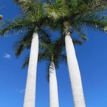 Semesterbostad Casa Sur *